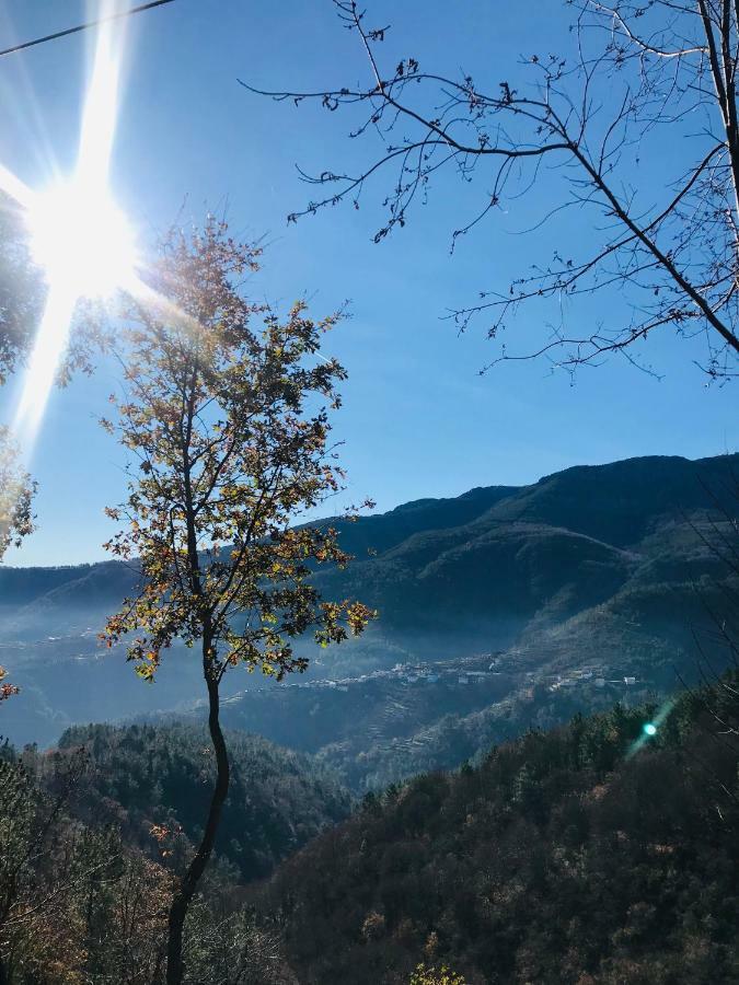 فيلا "Casa Do Avo Patricio" Mountain Experience Parada  المظهر الخارجي الصورة